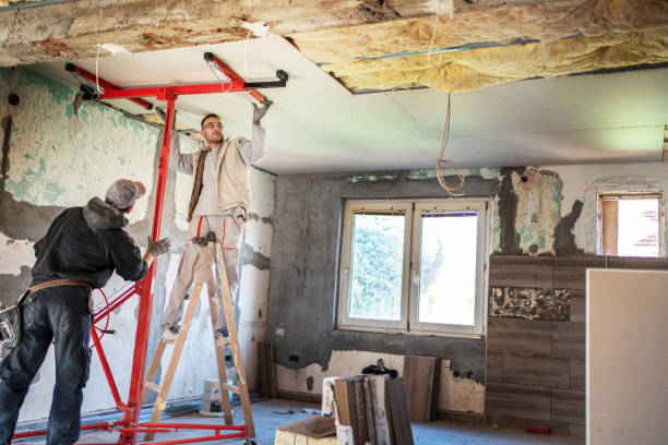 Best Best Insulation Companies  in Murraysville, NC