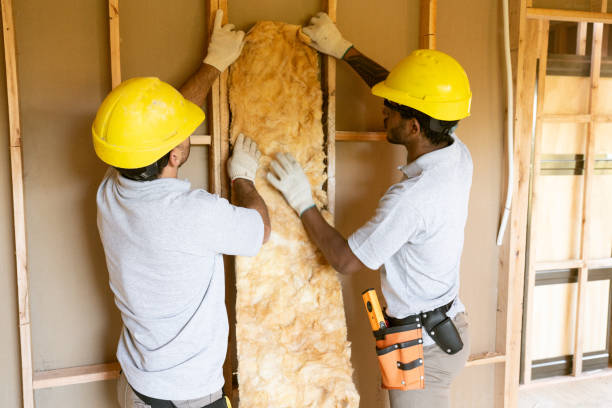 Best Insulation Removal  in Murraysville, NC